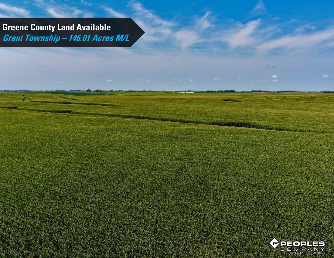 Listing Photo: Greene-County-Iowa-Farmland-Available-146-Acres-19686-Jefferson (18)